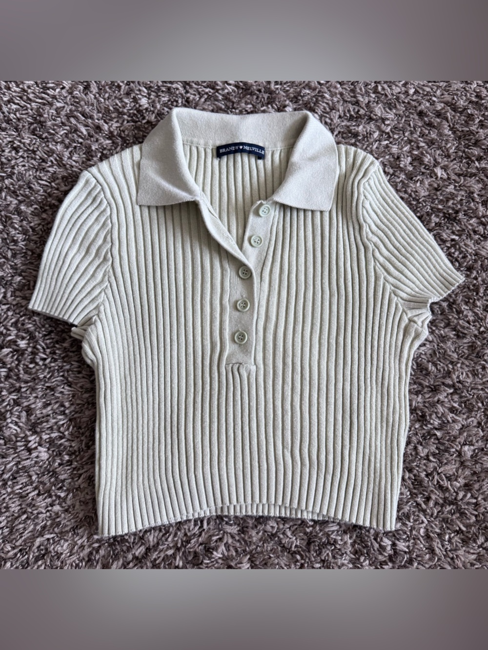Brandy Melville Bridget Knit Polo Crop Top